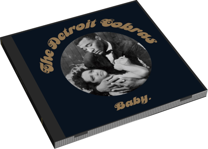 Album 3D Case