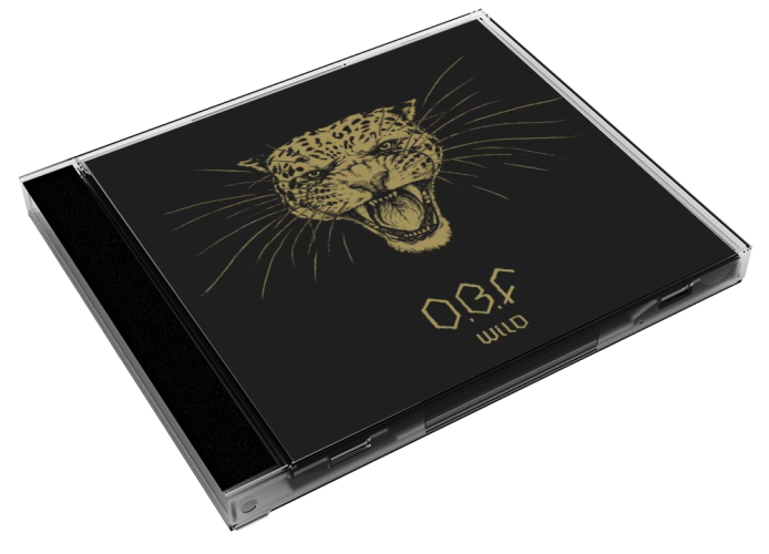 Album 3D Case