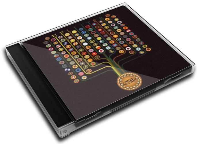 Album 3D Case