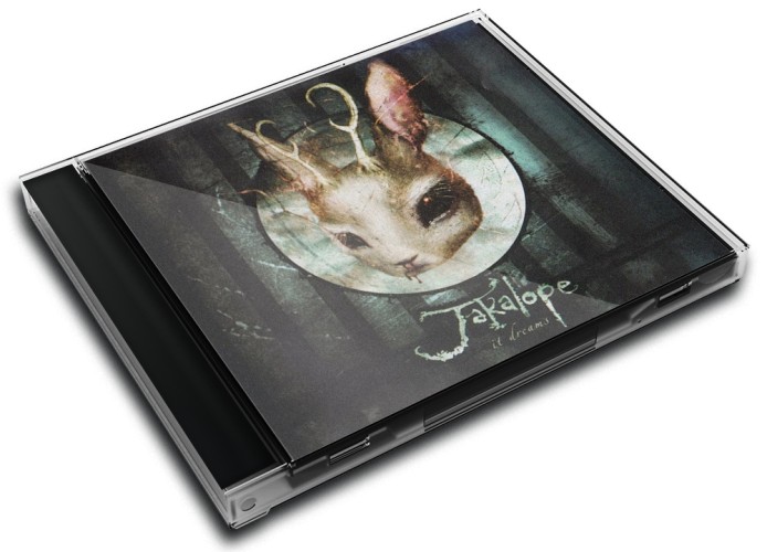 Album 3D Case