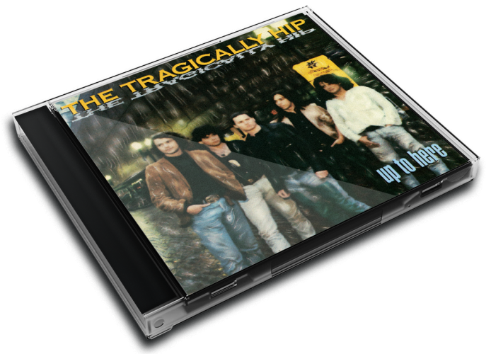 Album 3D Case