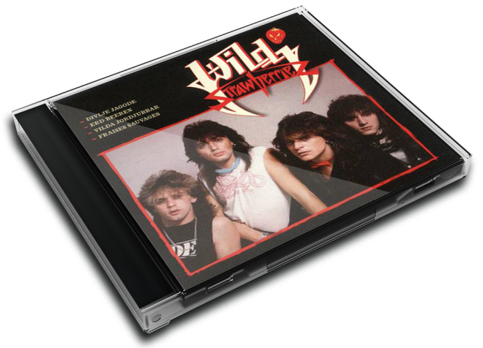 Album 3D Case