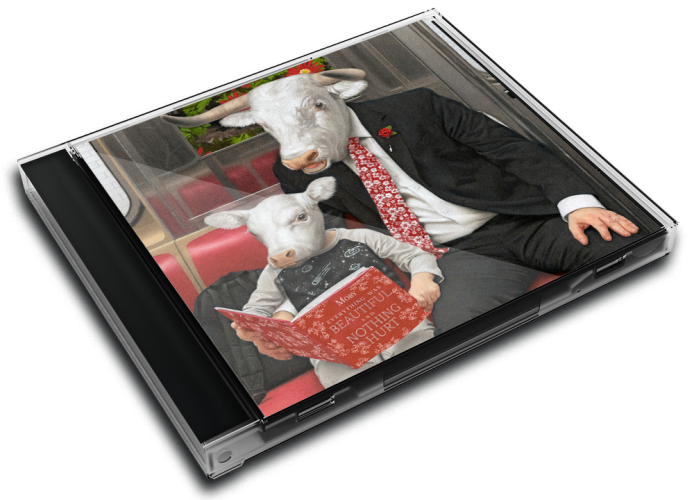 Album 3D Case