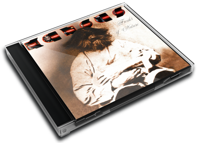 Album 3D Case