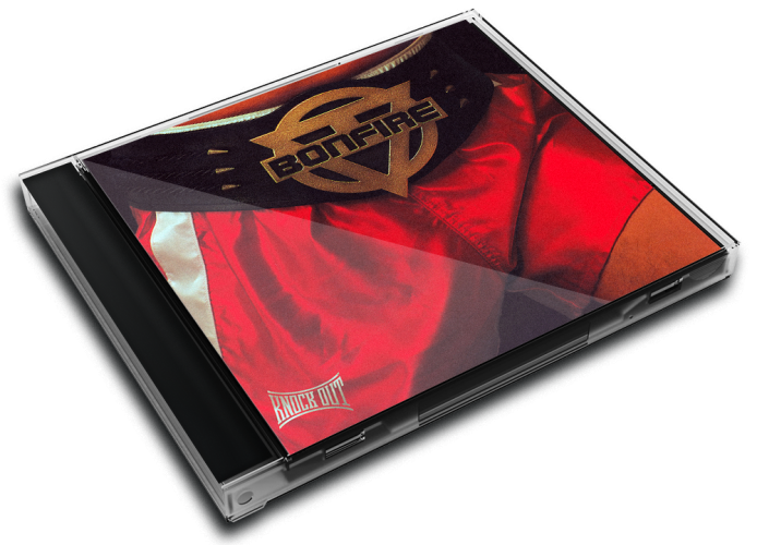 Album 3D Case