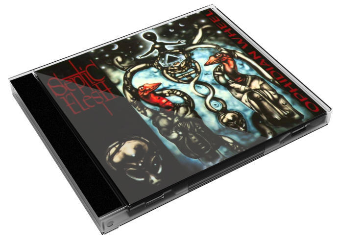 Album 3D Case