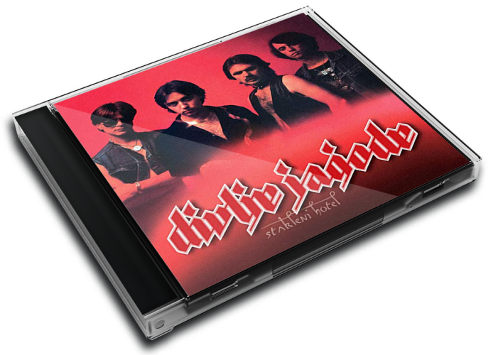 Album 3D Case