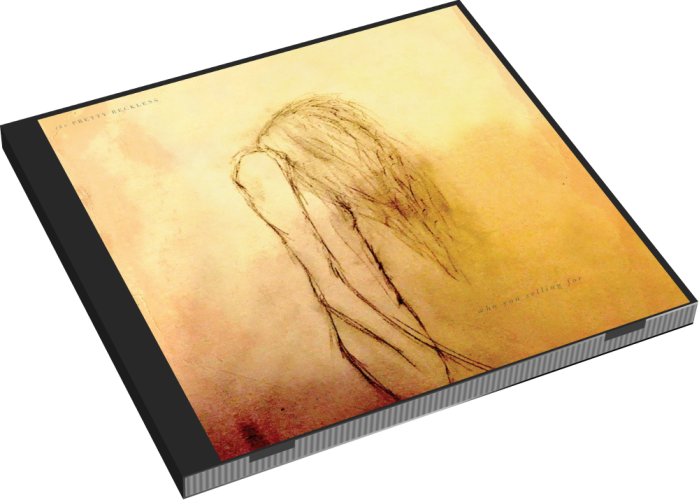 Album 3D Case