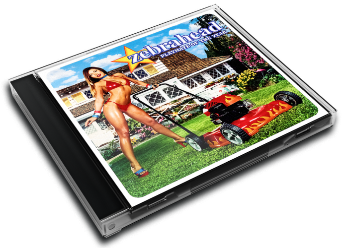 Album 3D Case