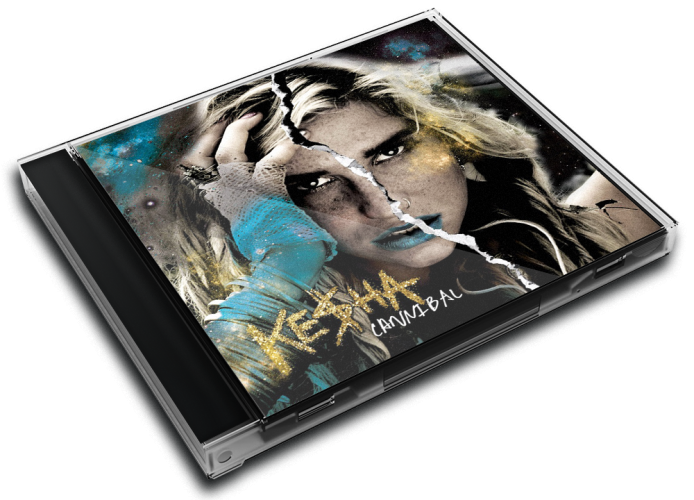 Album 3D Case
