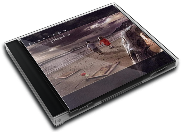 Album 3D Case