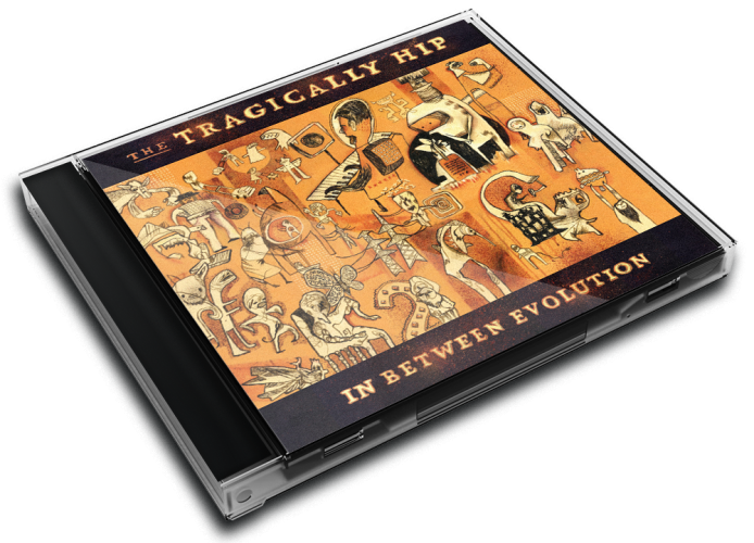 Album 3D Case