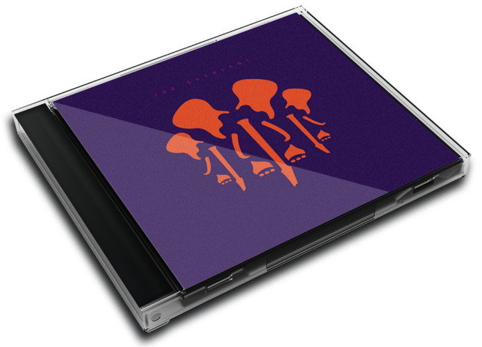 Album 3D Case