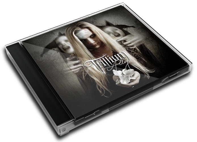Album 3D Case