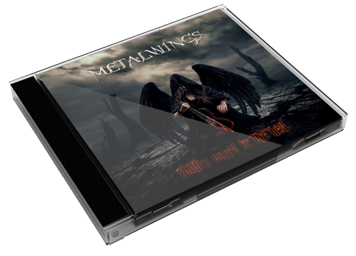 Album 3D Case