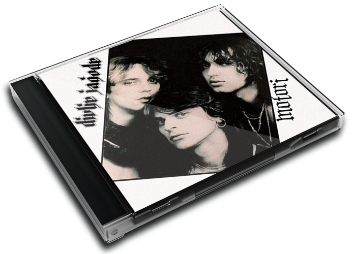 Album 3D Case
