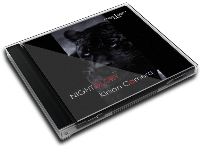 Album 3D Case