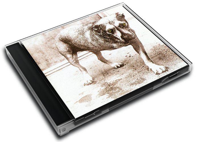 Album 3D Case