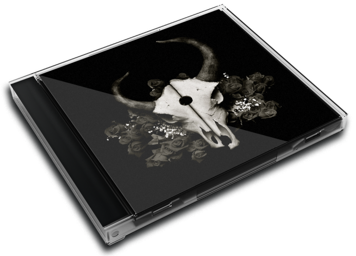 Album 3D Case