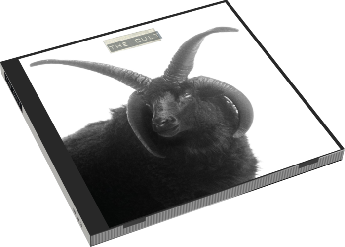 Album 3D Case