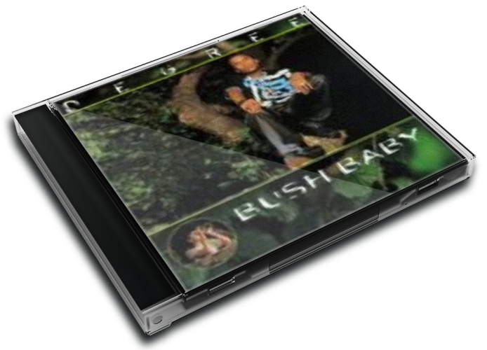 Album 3D Case
