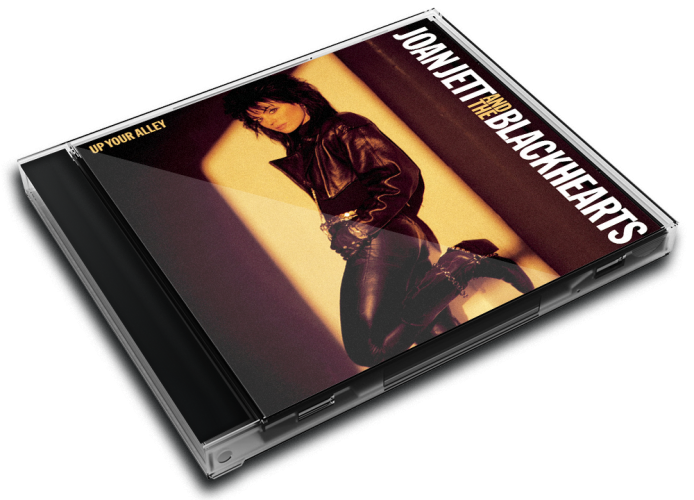 Album 3D Case