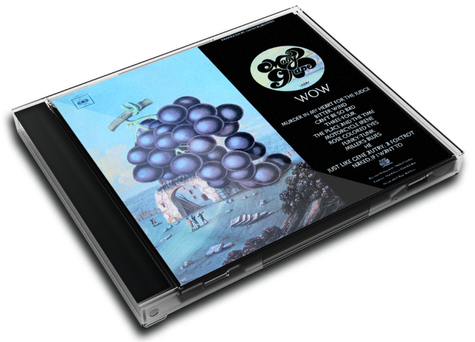 Album 3D Case