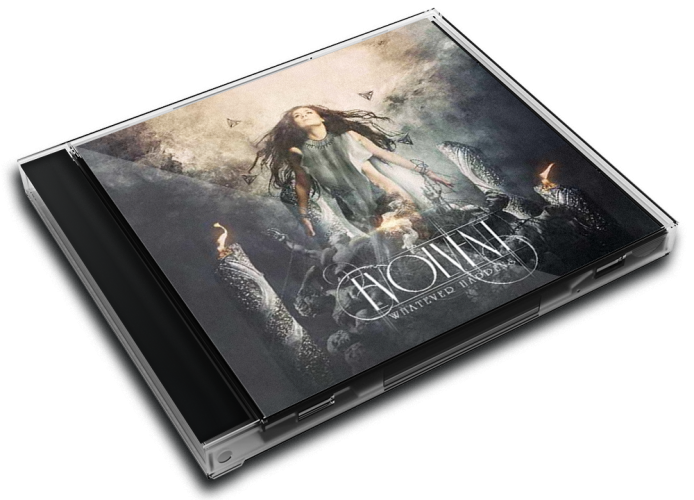 Album 3D Case