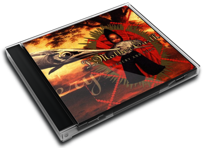Album 3D Case