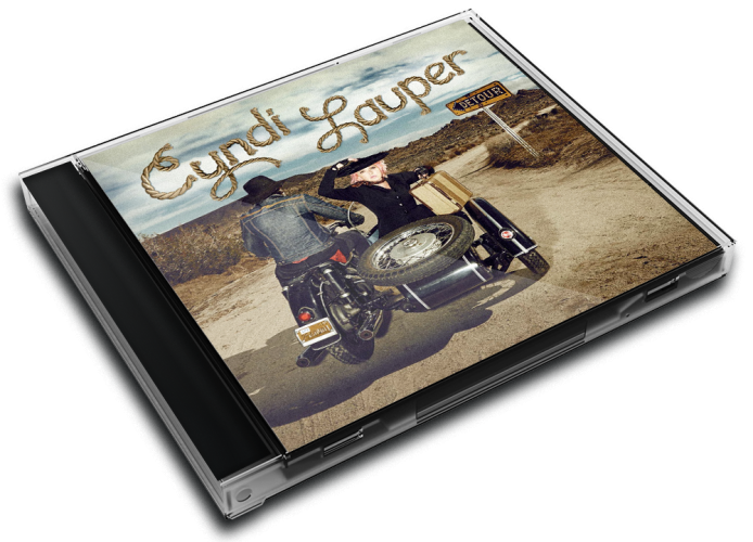 Album 3D Case