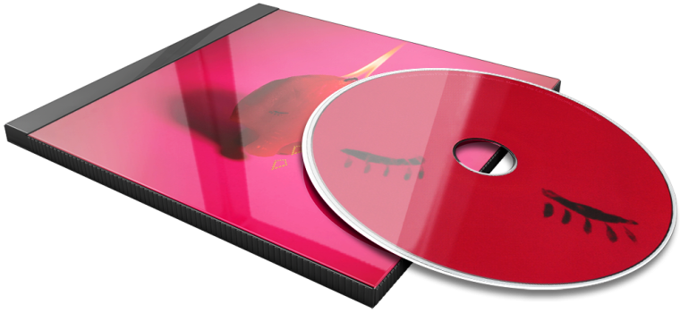 Album 3D Flat