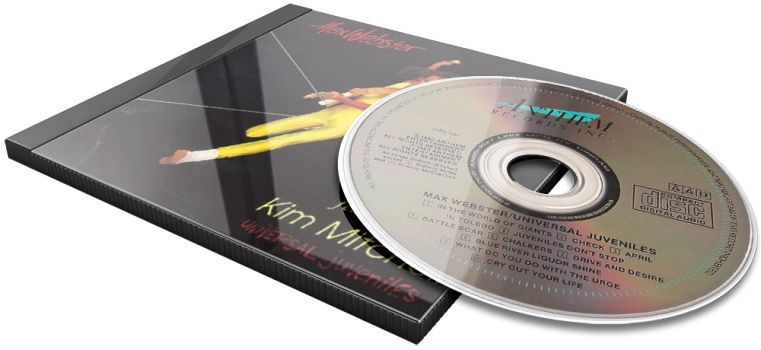 Album 3D Flat