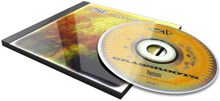 Album 3D Flat
