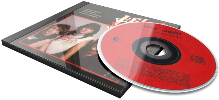 Album 3D Flat