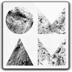 album thumb