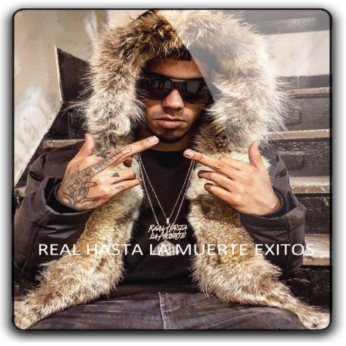 Album 3D Thumb