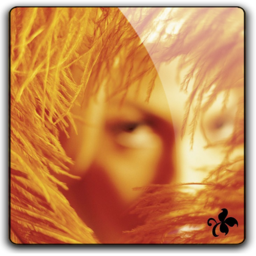 Album 3D Thumb