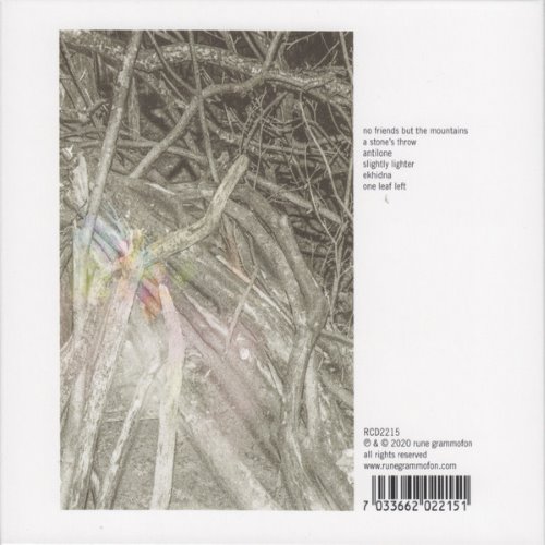 Album Back Cover