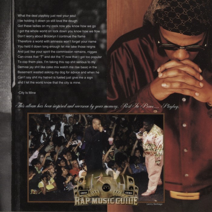 Jay-Z - In My Lifetime, Vol. 1 | TheAudioDB.com