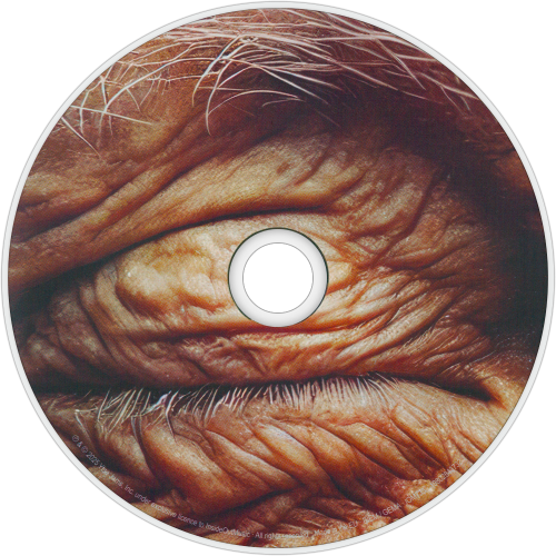 CDart Artwork