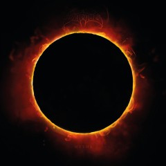 Album Thumb