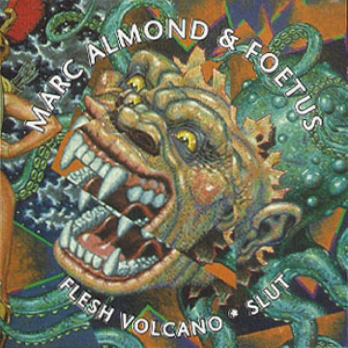 Flesh Volcano / Slut