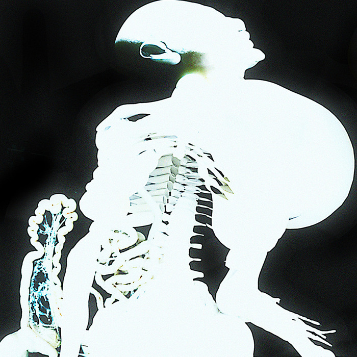 Entrañas cover