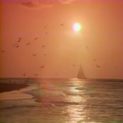 Album Thumb