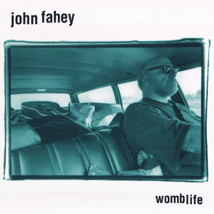 Womblife cover