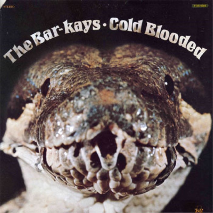 Coldblooded cover