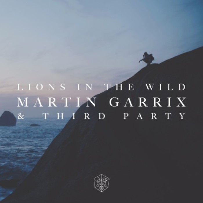 Lions in the Wild cover