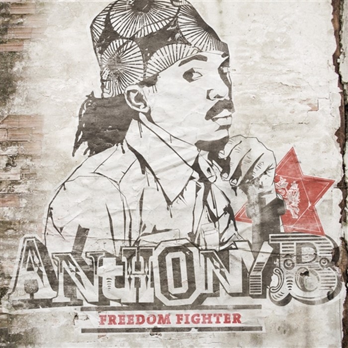 Freedom Fighter cover