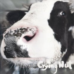 Album Thumb