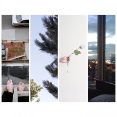 Album Thumb